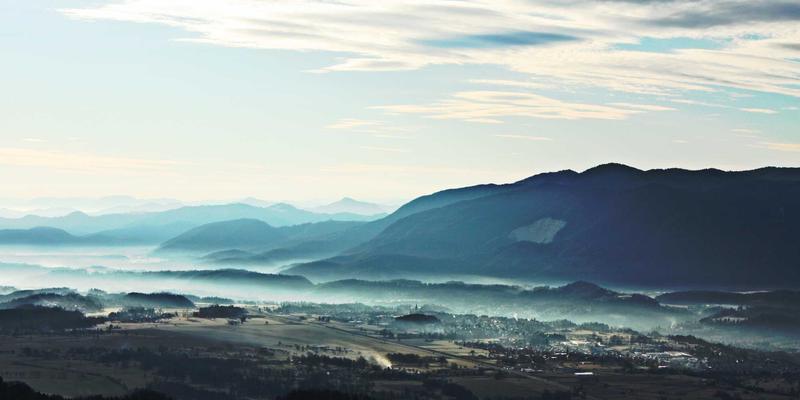 联城大蒜15:从田间到云端,看农业电商如何重塑大蒜产业价值链