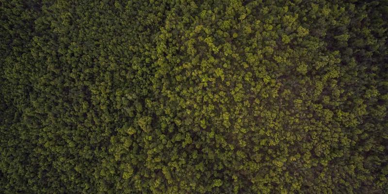 联城大蒜16:从田间到指尖,看一颗大蒜的产业升级与电商突围