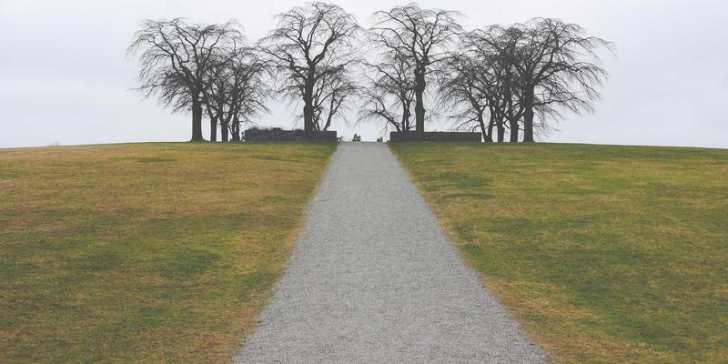 联城大蒜19：农业电商如何重塑传统大蒜采购与产业格局
