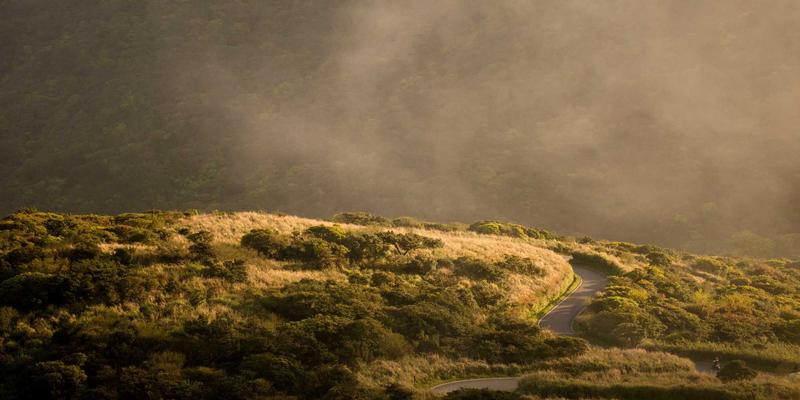 联城大蒜25：数字化农产品交易平台如何重塑大蒜采购与价格体系