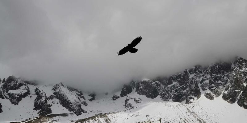 联城大蒜27：农业电商浪潮中的黄金商机与价格风向标