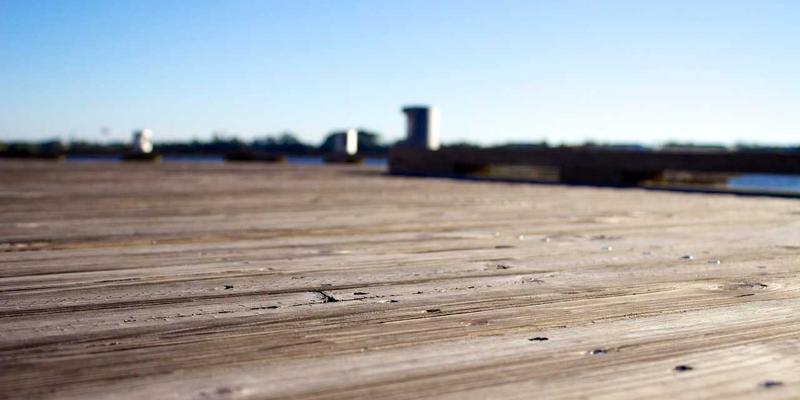 联城大蒜2：大蒜价格波动背后的产业升级与批发市场新趋势