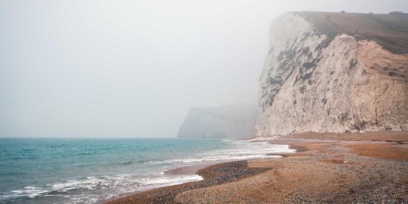联城大蒜30：从田间到指尖，农业电商如何重塑大蒜价格与产业格局