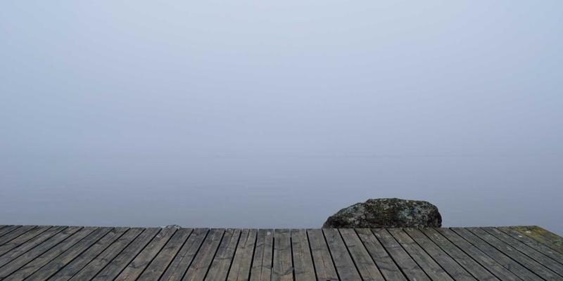 联城大蒜36:数字化交易平台如何重塑大蒜产业价值链