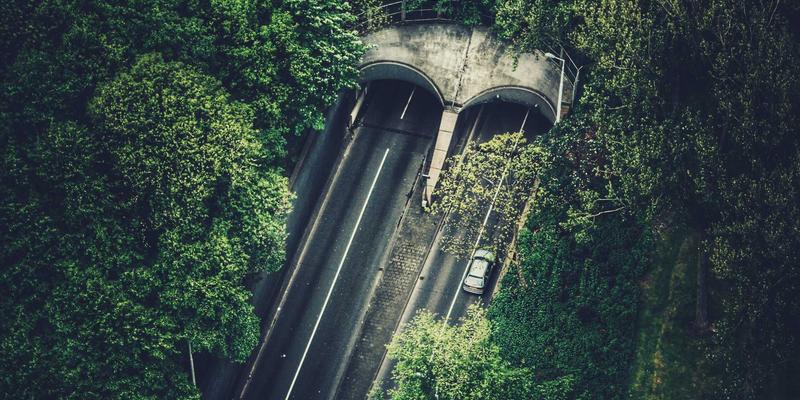 联城大蒜40：在农产品交易平台实现大蒜批发与采购的智慧之选