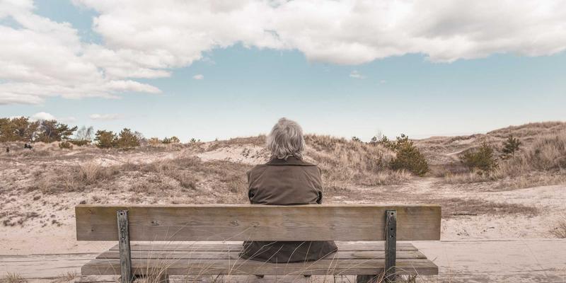 联城大蒜41：解析大蒜价格波动与高效采购策略，农产品交易平台如何赋能产业