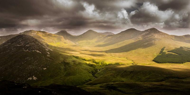 联城大蒜44：如何借力农产品交易平台重塑大蒜产业新格局