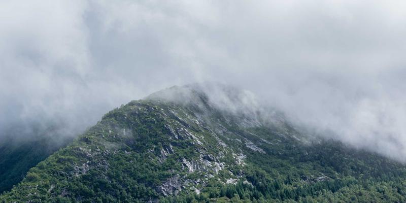 联城大蒜4：从田间到云端，看传统大蒜产业如何借力电商转型升级