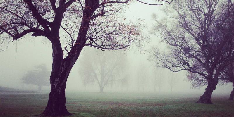 联城大蒜70：市场行情、批发优势与产业价值深度解析