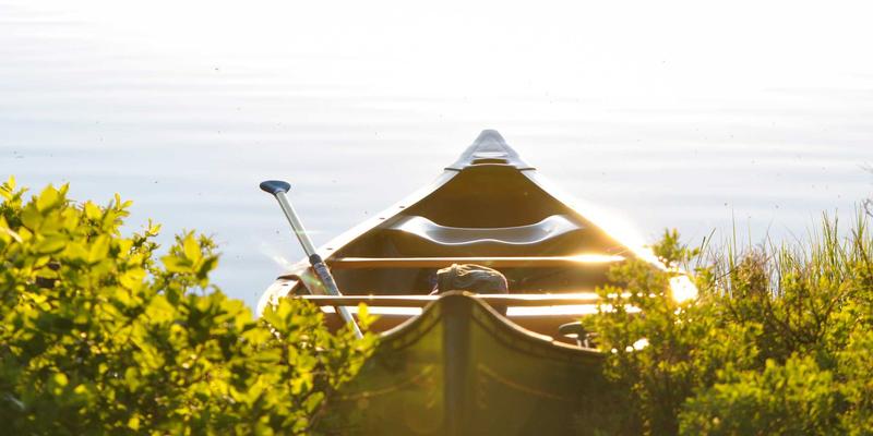 联城大蒜73：农业电商如何重塑传统大蒜交易格局