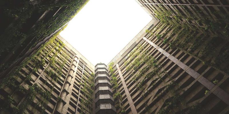 联城大蒜82：农业电商如何重塑传统农产品的价值与流通