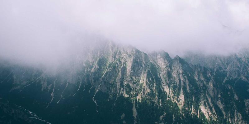 联城大蒜84:透视中国大蒜产业格局与价格波动趋势