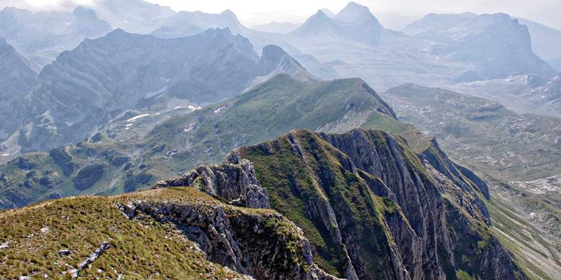 联城大蒜87:探秘中国大蒜产业的核心力量与市场脉搏