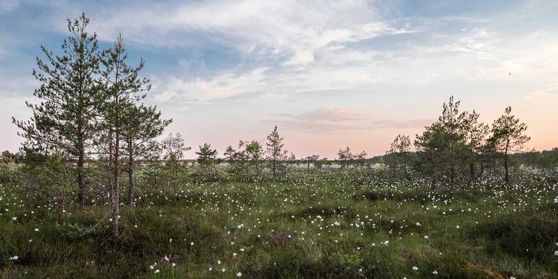 联城大蒜8：从田间到餐桌的农业电商新标杆