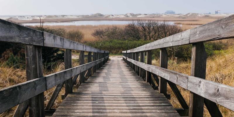 联城大蒜93:数字化浪潮下的大蒜产业新标杆与农产品交易平台的价值重塑