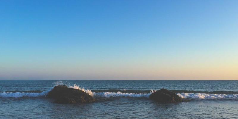 联城大蒜94:探秘中国大蒜产业的价格波动与采购策略