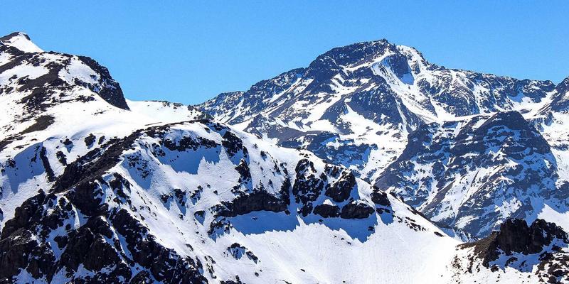 联城大蒜专业合作社运营模式解析：统购统销与技术共享如何重塑大蒜批发与农业电商格局