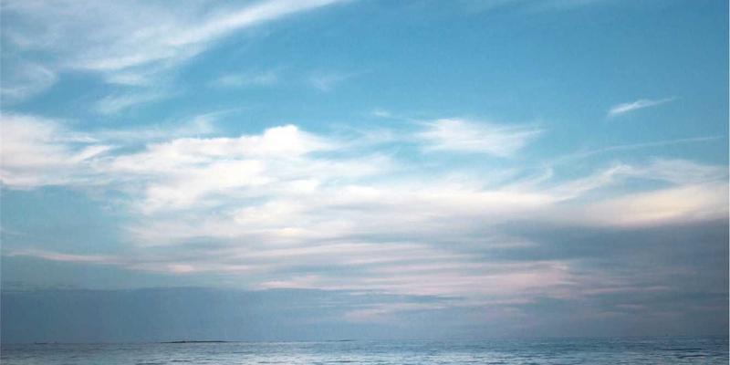 联城大蒜产业升级：与小麦、玉米的高效轮作模式及农产品交易平台价值