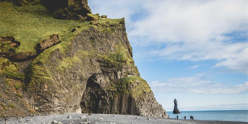 联城大蒜产业升级：与玉米蔬菜轮作的经济效益与电商采购新机遇