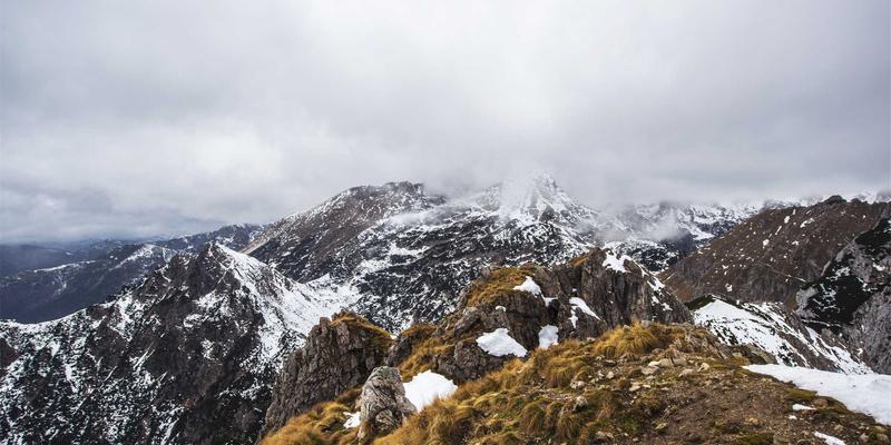 联城大蒜产业升级之路：黑蒜、蒜粉、蒜油深加工的市场前景与农业电商新机遇