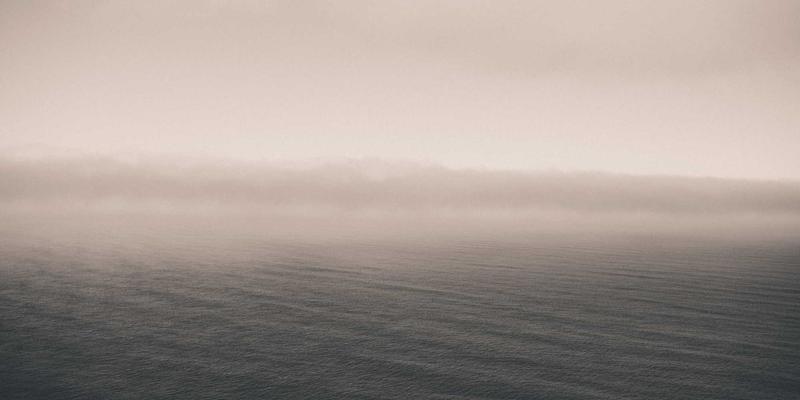 联城大蒜产业升级：机械化播种到收获的全程解决方案与农产品交易平台机遇