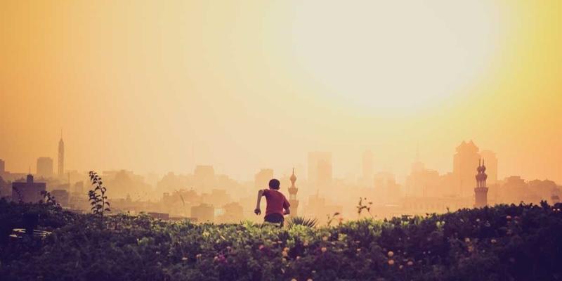 联城大蒜产业升级：构建从田间到餐桌的全程可追溯体系，如何稳定大蒜价格与赋能农业电商