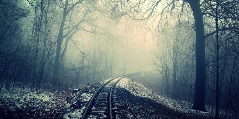 联城大蒜产业升级：绿色防控技术如何提升品质与价格竞争力