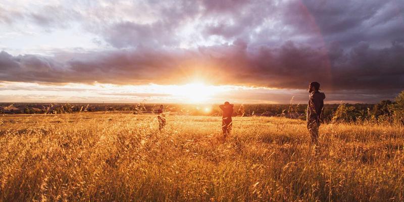 联城大蒜产业新趋势：农业电商如何重塑大蒜价格与供应链格局