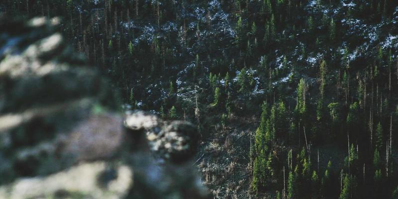 联城大蒜仓储物流优化方案：农业电商时代如何通过农产品交易平台降低损耗与成本直达批发市场