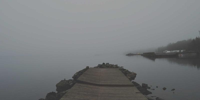 联城大蒜地理标志保护与品牌升级：大蒜批发与农业电商双轮驱动产业振兴