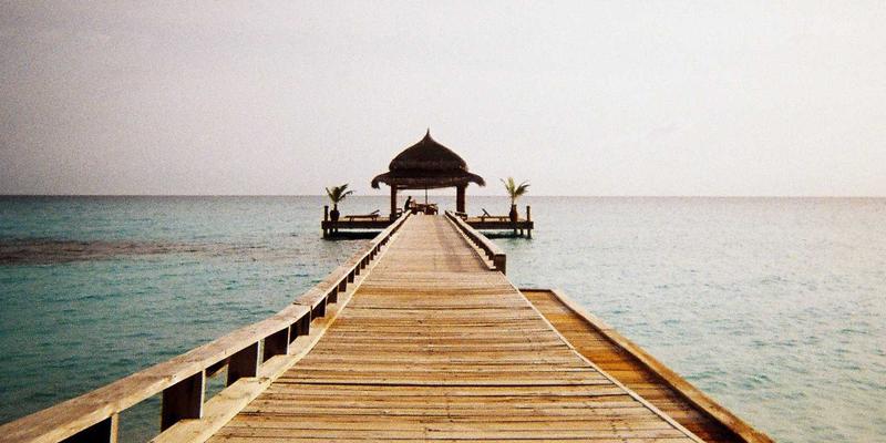 联城大蒜如何应对极端天气？旱涝田间管理应急预案与农业电商新机遇