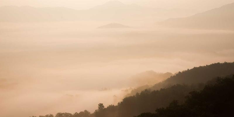 联城大蒜有机认证全流程详解：从土壤检测到认证机构选择，助您精准完成大蒜批发与采购