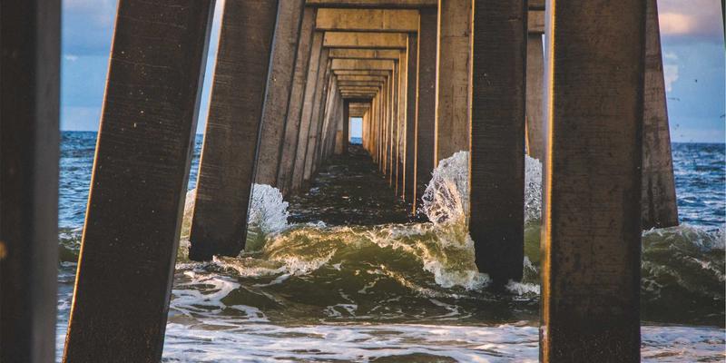 联城大蒜深加工产业链开发：蒜片、蒜粉、黑蒜的营养价值与市场前景分析