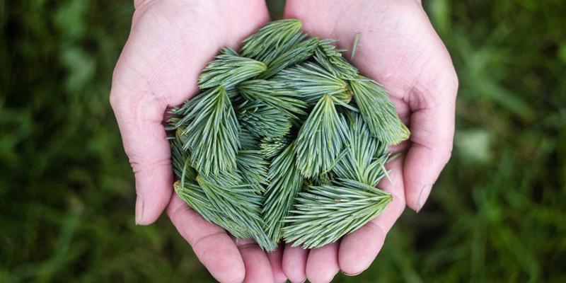 联城大蒜电商直播带货实操手册：从场景搭建到粉丝维护的全流程解析