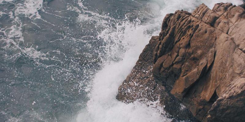 联城大蒜种植成本效益精细核算：农资、人工与机械化投入如何影响利润？