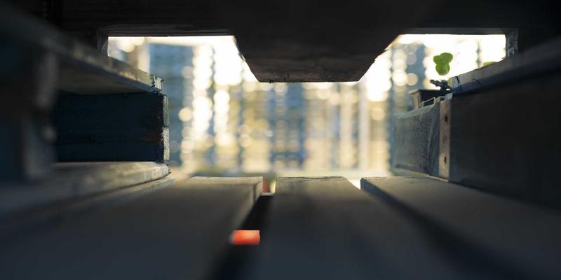 联城大蒜种植成本精细核算：平衡有机肥与机械化，提升利润的实战指南