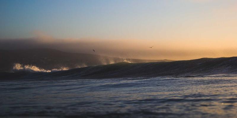 联城大蒜种植户如何破局价格风险？价格保险、期货工具与订单农业的协同应用解析