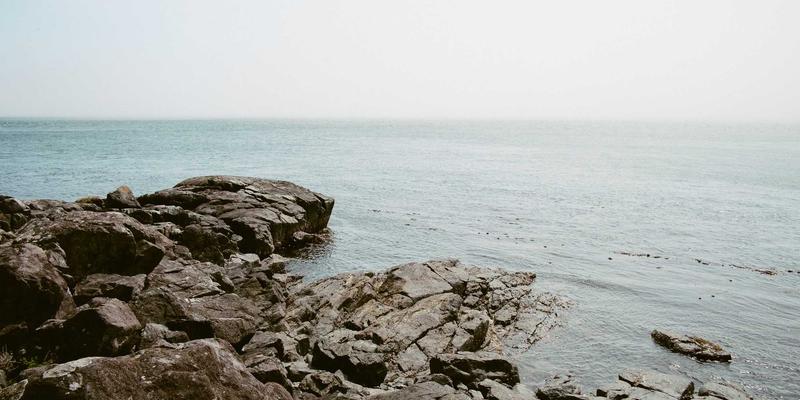 联城大蒜高产指南：品种选择与栽培技术，助您抢占农业电商先机